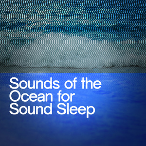 Waves Rolling onto Sandy Beach