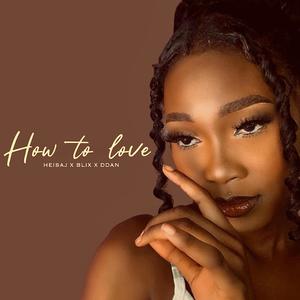 How to Love (feat. Blix & Ddan) [Explicit]