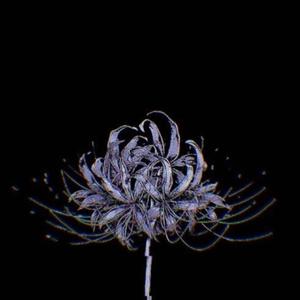 Delirious (Explicit)