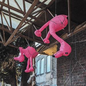 Supernova (Explicit)