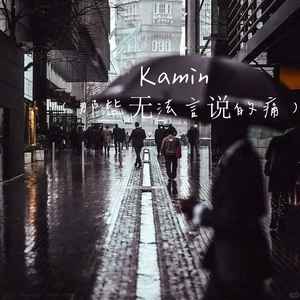 Kamin（那些无法言说的痛）