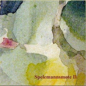 Spelemannsmøte 2