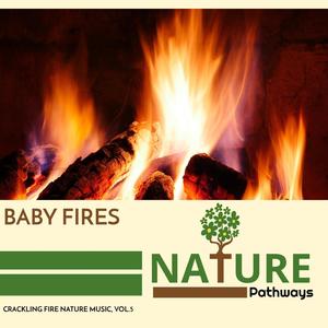 Baby Fires - Crackling Fire Nature Music, Vol.5