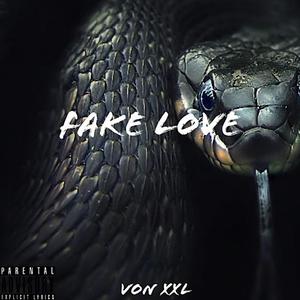 Fake Love (Explicit)