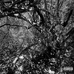 Find Myself (feat. The MenAce) (Explicit)