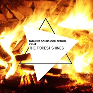 The Forest Shines - 2020 Fire Sound Collection, Vol.3