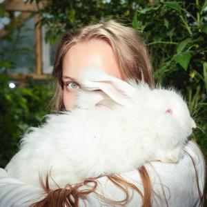 Alle kaniner kommer til himmelen