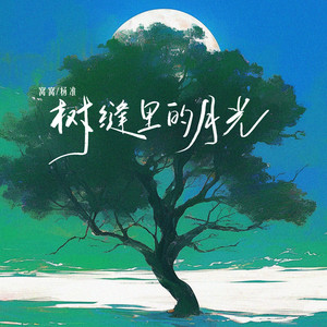 树缝里的月光