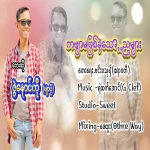 ကဗျာမဖြစ်ခဲ့သော ညများ