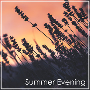 Chopin: Summer Evening