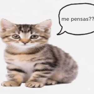 me pensas??