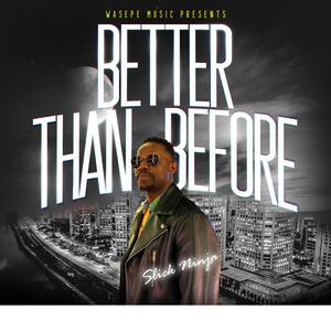 Better Than Before (feat. Slick Ninja)