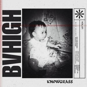 Bvhigh (Explicit)