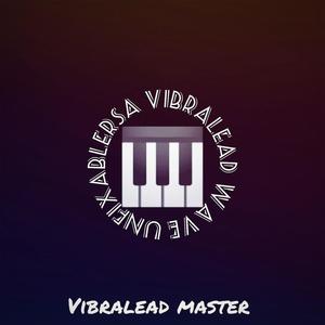 Vibralead Master