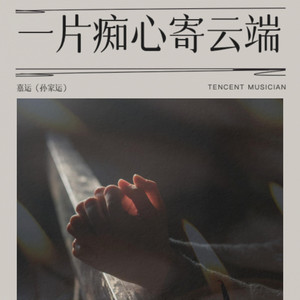 马踏樱花-嘉运（孙家运）