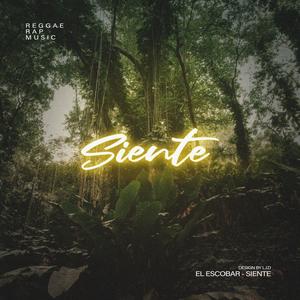 Siente (feat. Lost In Diggin') [Explicit]