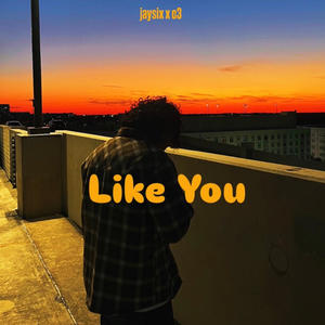Like You (feat. c3) (Explicit)