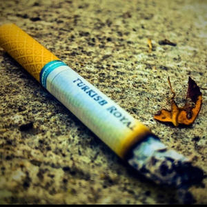 Turkish Royals (Explicit)