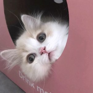 那丝也有春天