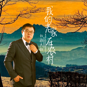 我的老家在农村 (DJ何鹏版)