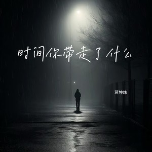 时间你带走了什么