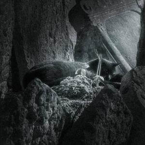 AUTOSABOTAJE (Zias Remix|Explicit)