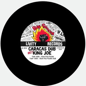 Run Politician Dub (Remix)