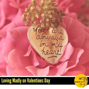 Emotional Tunes in Piano(C Major)