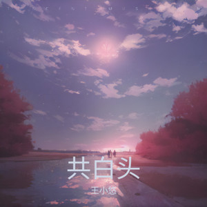 吹梦到西洲-王小拣
