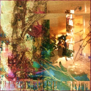 Ryan! Stop Dancing and Get out of That Spiderhole, Silly!