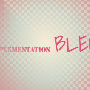 Implementation Bleu