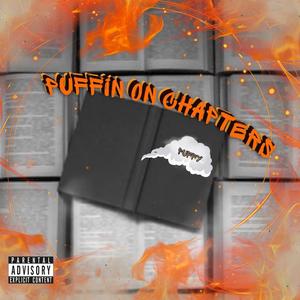 PUFFIN ON CHAPTERS (Explicit)