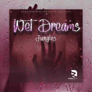 Wet Dreams (feat. Jungles) [Explicit]