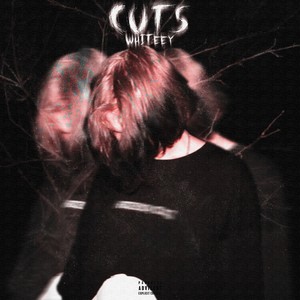 Cuts (Explicit)