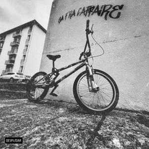 Ça f'ra l'affaire (feat. Despi) [Explicit]