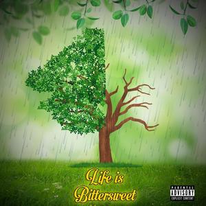 HOW I LIVE (Explicit)