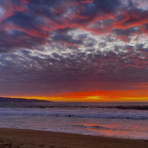 Corazón (Congelado)