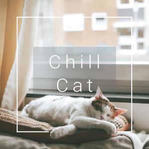 Kev Lai - Chill Cat