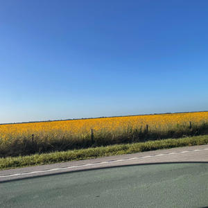 Blooming Into Full View (Explicit)