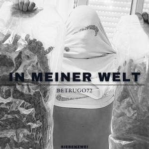 In meiner Welt (Explicit)