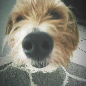 how ?(feat. txc, techvanni & koguapo) (Explicit)