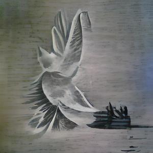 THE SEARCH FOR THE PERFECT WAVE