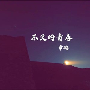 不灭的青春