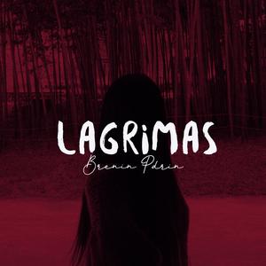 Lagrimas (feat. Pdrin) (Explicit)