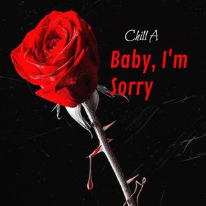 Baby I'm Sorry