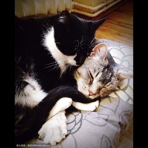 社会我的哥【民谣+摇滚DJ版】