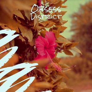 Obsess District