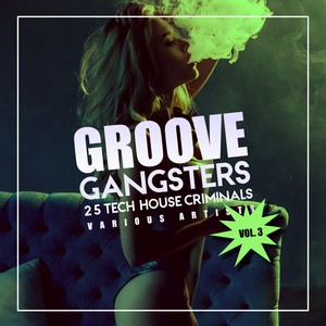 Groove Gangsters, Vol. 3 (25 Tech House Criminals)