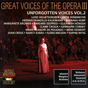 Unforgotten Voices (Vol.2)