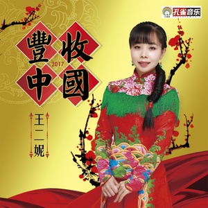 王二妮专辑《丰收中国》封面图片
